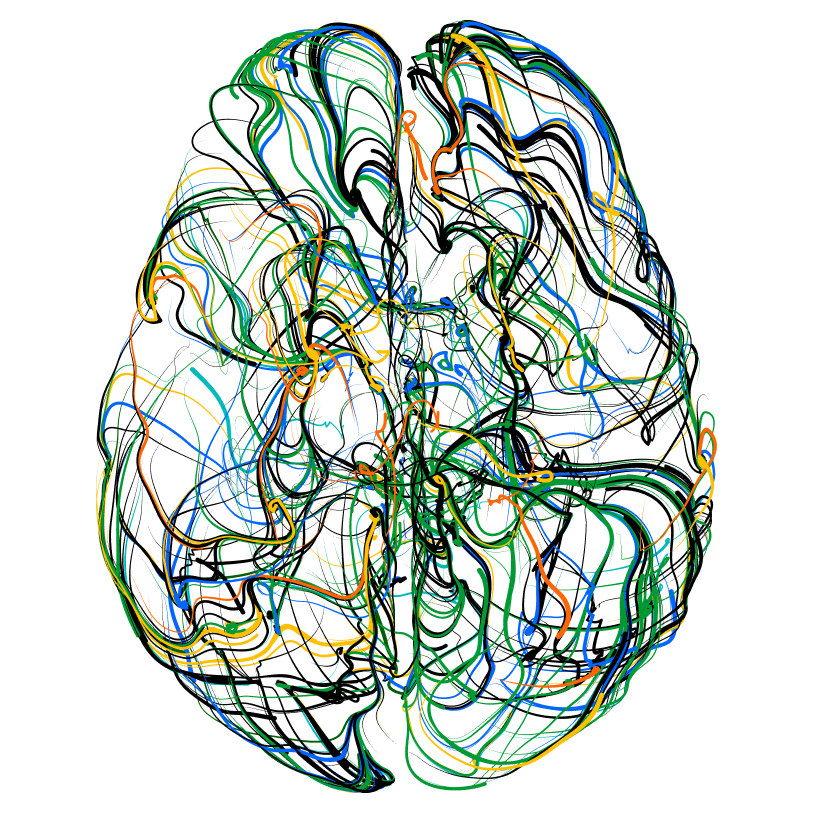 Colorful brain synapses