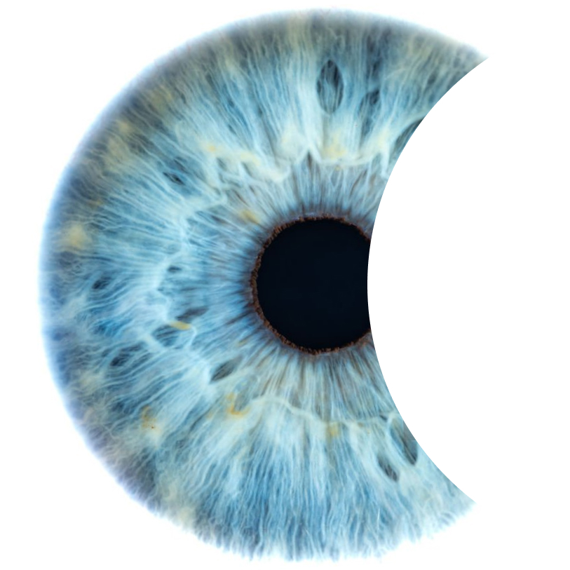 Iris and Pupil close-up with partial eclipse