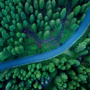 Birdseye view of a road bounded by a dense forest