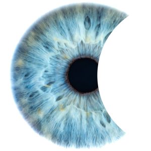 Iris and Pupil close-up with partial eclipse